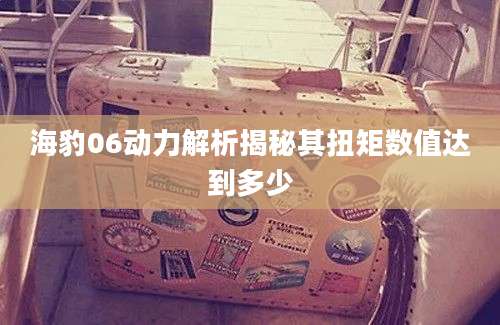 海豹06动力解析揭秘其扭矩数值达到多少
