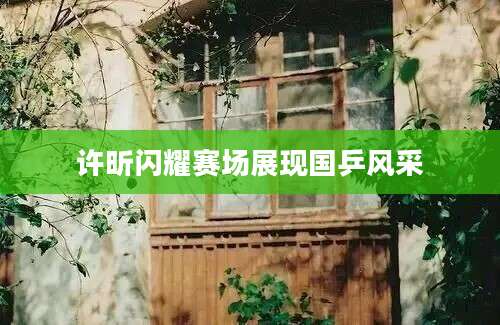 许昕闪耀赛场展现国乒风采