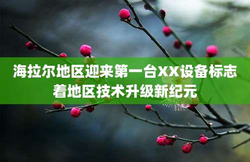海拉尔地区迎来第一台XX设备标志着地区技术升级新纪元