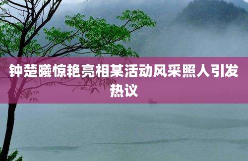 钟楚曦惊艳亮相某活动风采照人引发热议