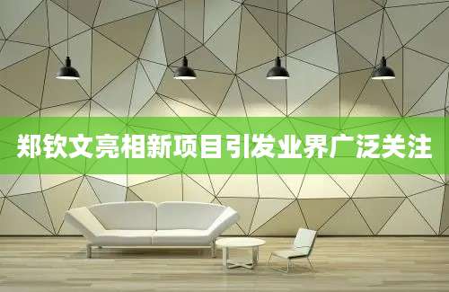 郑钦文亮相新项目引发业界广泛关注