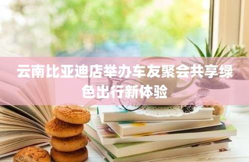 云南比亚迪店举办车友聚会共享绿色出行新体验