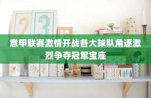 意甲联赛激情开战各大球队角逐激烈争夺冠军宝座