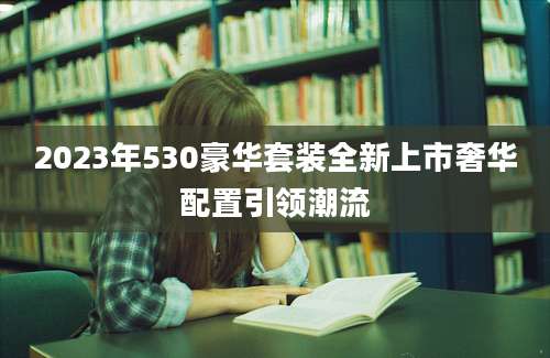 2023年530豪华套装全新上市奢华配置引领潮流