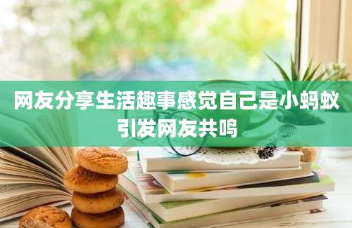 网友分享生活趣事感觉自己是小蚂蚁引发网友共鸣