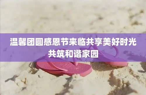 温馨团圆感恩节来临共享美好时光共筑和谐家园