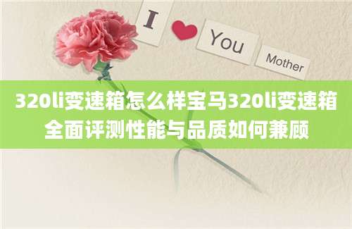 320li变速箱怎么样宝马320li变速箱全面评测性能与品质如何兼顾