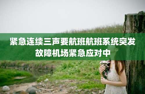 紧急连续三声要航班航班系统突发故障机场紧急应对中