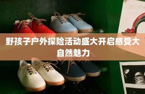 野孩子户外探险活动盛大开启感受大自然魅力