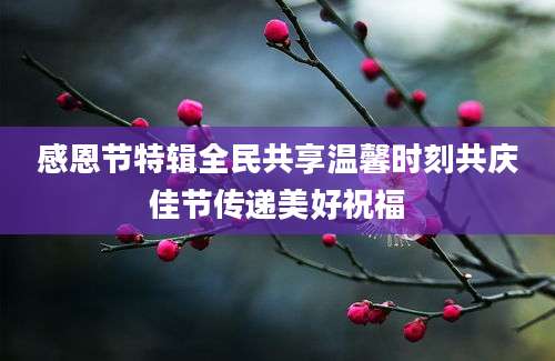 感恩节特辑全民共享温馨时刻共庆佳节传递美好祝福