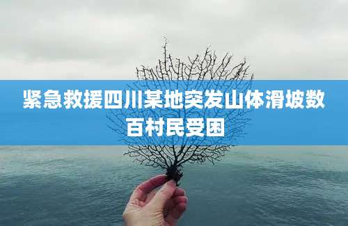 紧急救援四川某地突发山体滑坡数百村民受困