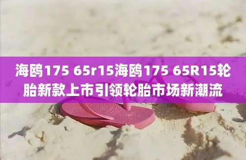 海鸥175 65r15海鸥175 65R15轮胎新款上市引领轮胎市场新潮流