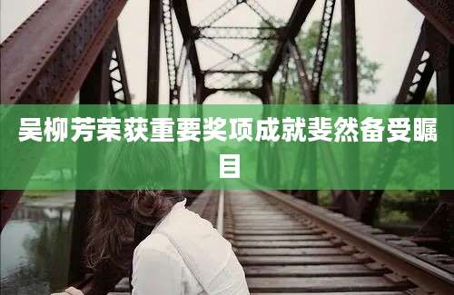 吴柳芳荣获重要奖项成就斐然备受瞩目