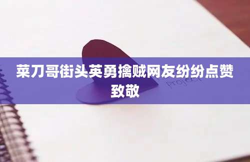 菜刀哥街头英勇擒贼网友纷纷点赞致敬