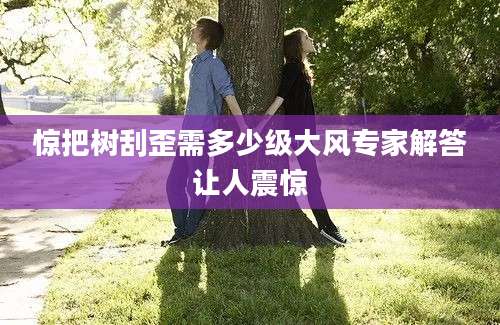 惊把树刮歪需多少级大风专家解答让人震惊