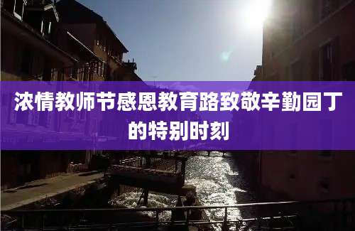 浓情教师节感恩教育路致敬辛勤园丁的特别时刻