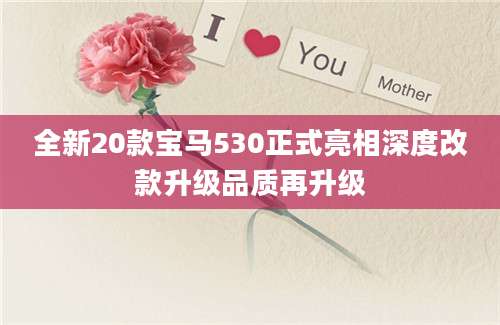 全新20款宝马530正式亮相深度改款升级品质再升级
