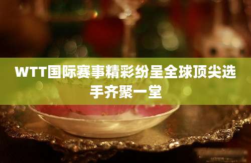 WTT国际赛事精彩纷呈全球顶尖选手齐聚一堂