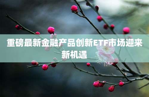 重磅最新金融产品创新ETF市场迎来新机遇