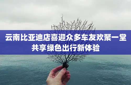 云南比亚迪店喜迎众多车友欢聚一堂共享绿色出行新体验
