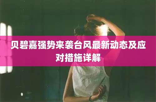贝碧嘉强势来袭台风最新动态及应对措施详解