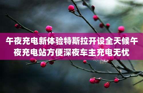 午夜充电新体验特斯拉开设全天候午夜充电站方便深夜车主充电无忧