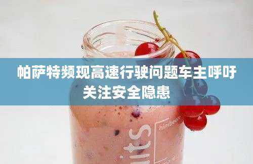 帕萨特频现高速行驶问题车主呼吁关注安全隐患