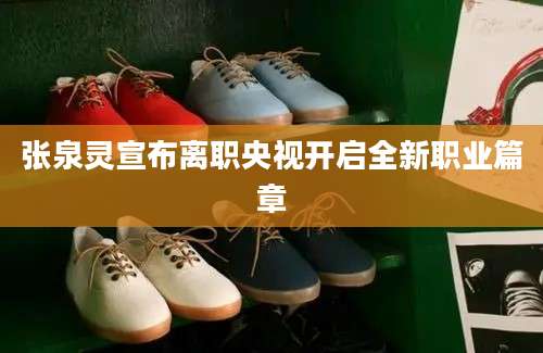 张泉灵宣布离职央视开启全新职业篇章