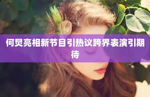 何炅亮相新节目引热议跨界表演引期待