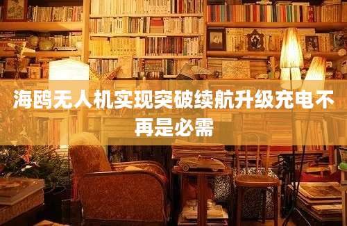 海鸥无人机实现突破续航升级充电不再是必需