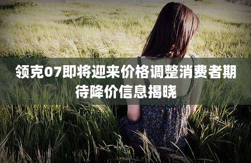 领克07即将迎来价格调整消费者期待降价信息揭晓