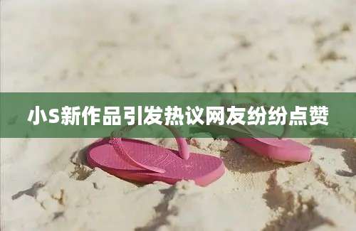 小S新作品引发热议网友纷纷点赞