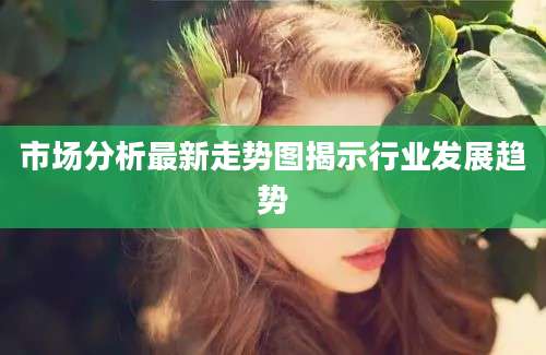 市场分析最新走势图揭示行业发展趋势