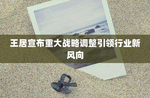 王居宣布重大战略调整引领行业新风向