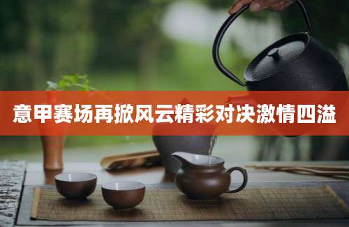 意甲赛场再掀风云精彩对决激情四溢