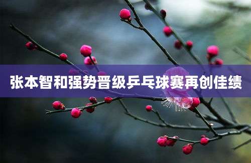 张本智和强势晋级乒乓球赛再创佳绩