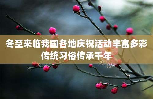 冬至来临我国各地庆祝活动丰富多彩传统习俗传承千年