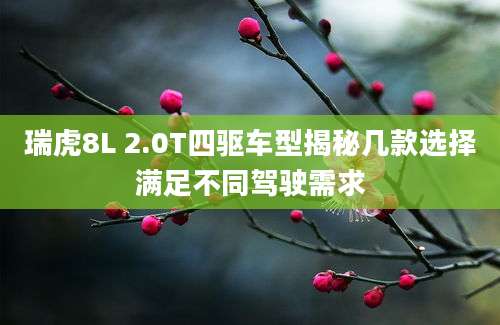 瑞虎8L 2.0T四驱车型揭秘几款选择满足不同驾驶需求