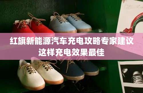 红旗新能源汽车充电攻略专家建议这样充电效果最佳