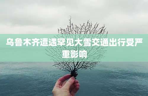 乌鲁木齐遭遇罕见大雪交通出行受严重影响