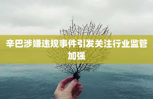 辛巴涉嫌违规事件引发关注行业监管加强