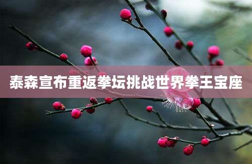 泰森宣布重返拳坛挑战世界拳王宝座