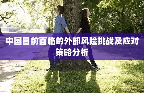 中国目前面临的外部风险挑战及应对策略分析