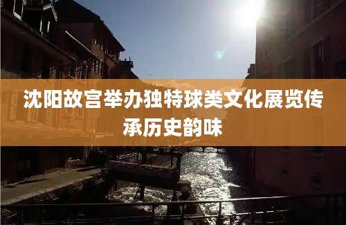 沈阳故宫举办独特球类文化展览传承历史韵味
