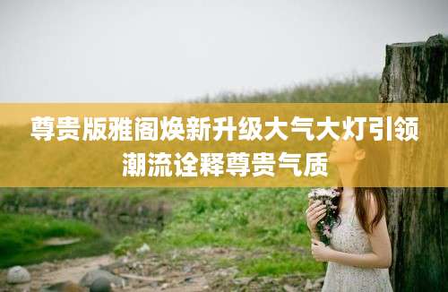 尊贵版雅阁焕新升级大气大灯引领潮流诠释尊贵气质
