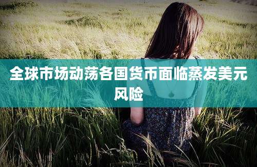 全球市场动荡各国货币面临蒸发美元风险