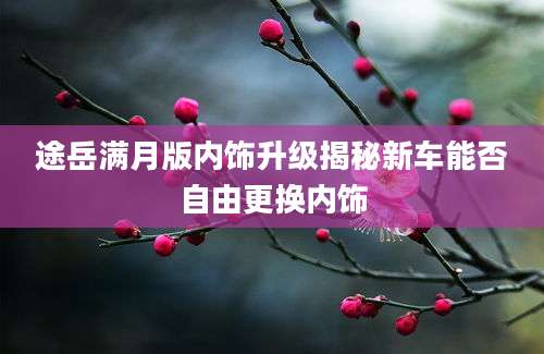 途岳满月版内饰升级揭秘新车能否自由更换内饰