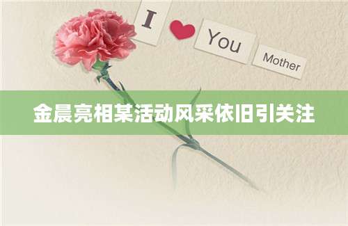 金晨亮相某活动风采依旧引关注