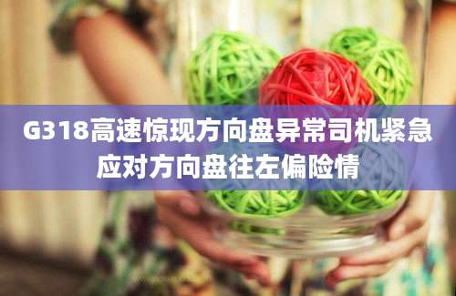 G318高速惊现方向盘异常司机紧急应对方向盘往左偏险情