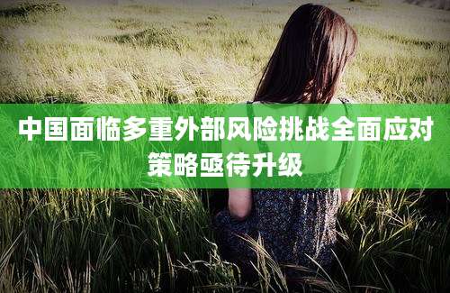 中国面临多重外部风险挑战全面应对策略亟待升级